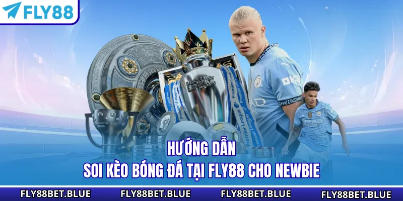 Hướng dẫn soi kèo bóng đá tại FLY88 cho newbie