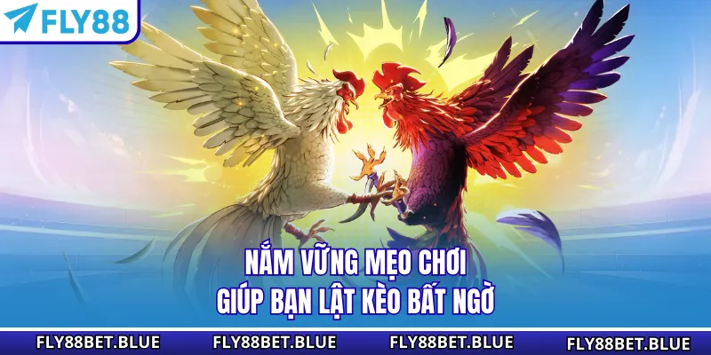 Nắm vững mẹo chơi giúp bạn lật kèo bất ngờ