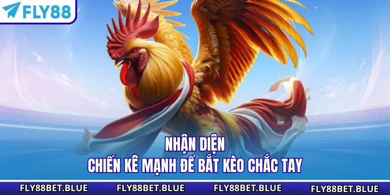 Nhận diện chiến kê mạnh để bắt kèo chắc tay